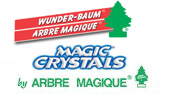 Cenere Magica