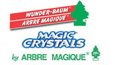 Cenere Magica